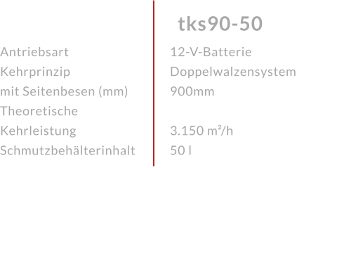 AntriebsartKehrprinzip mit Seitenbesen (mm)Theoretische KehrleistungSchmutzbehälterinhalt tks90-50 12-V-Batterie Doppelwalzensystem 900mm 3.150 m²/h50 l