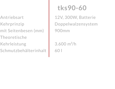 AntriebsartKehrprinzip mit Seitenbesen (mm)Theoretische KehrleistungSchmutzbehälterinhalt tks90-60 12V, 300W, BatterieDoppelwalzensystem 900mm 3.600 m²/h60 l