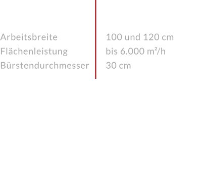 Arbeitsbreite FlächenleistungBürstendurchmesser 100 und 120 cm bis 6.000 m²/h30 cm